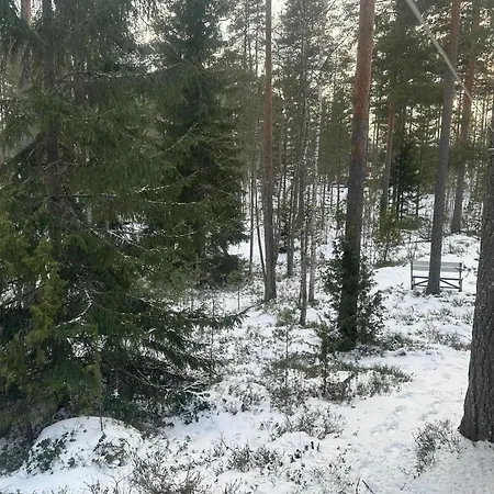 Feriehus Kaaro 2 By Interhome Hillosensalmi